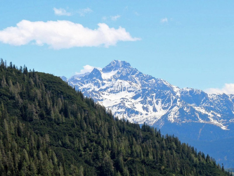 40 Jahre Marienberg Alm – Der gute Hirte geht