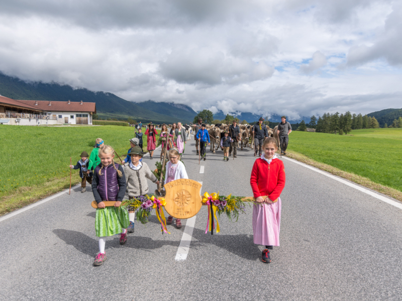 Almabtrieb 2017 Feldernalm/Obermieming