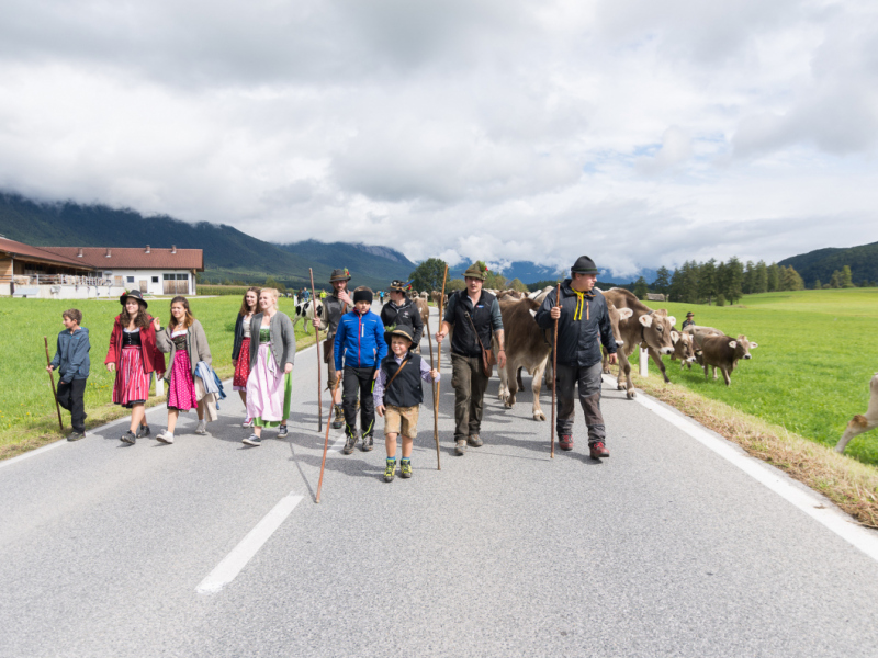 Almabtrieb 2017 Feldernalm/Obermieming