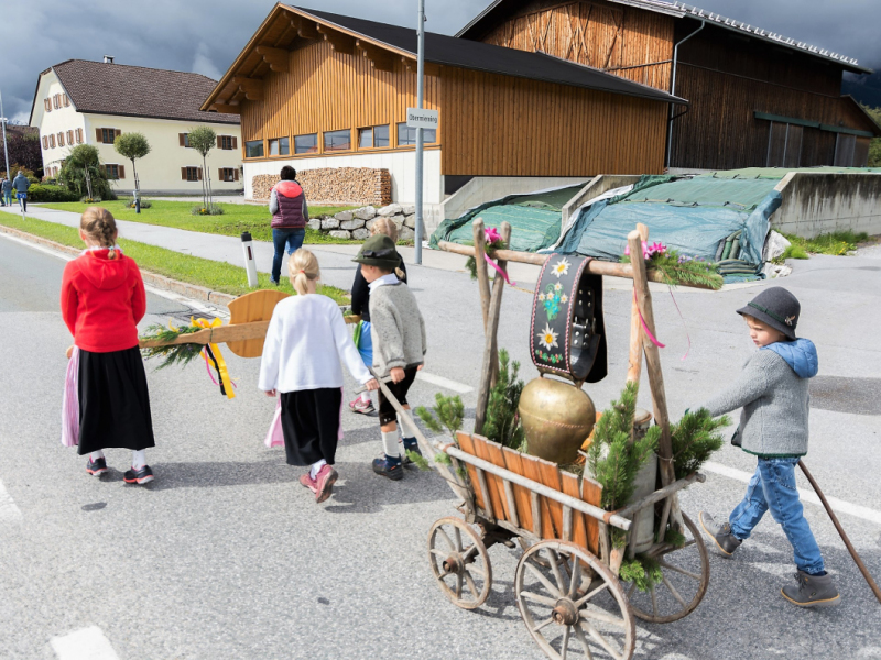 Almabtrieb 2017 Feldernalm/Obermieming