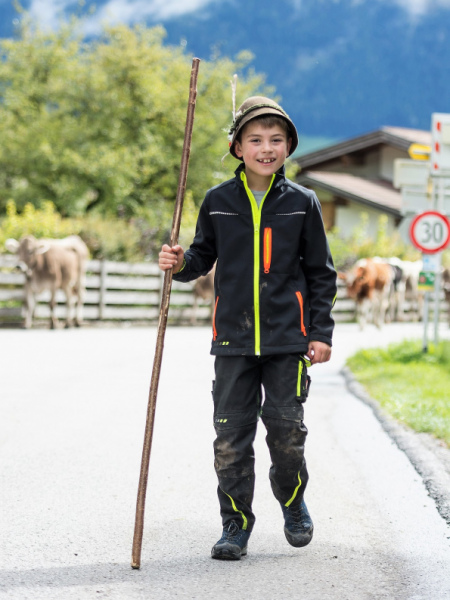 Almabtrieb 2017 Feldernalm/Obermieming