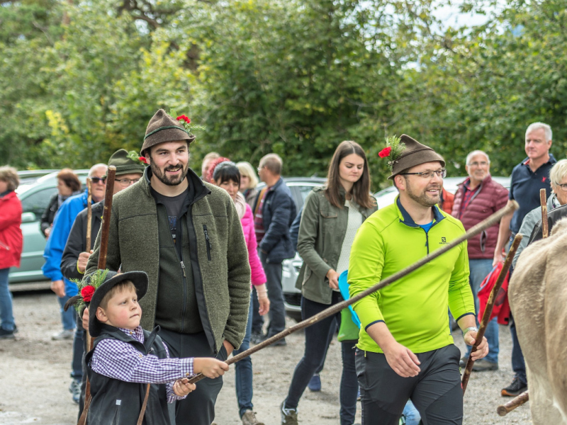 Almabtrieb 2017 Feldernalm/Obermieming