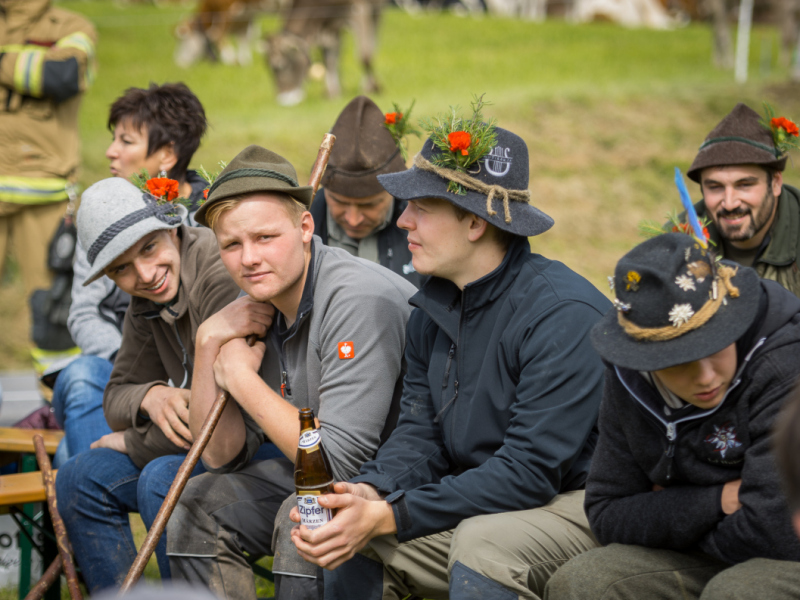 Almabtrieb 2017 Feldernalm/Obermieming