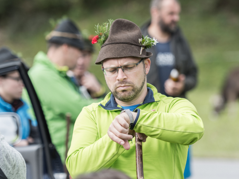 Almabtrieb 2017 Feldernalm/Obermieming