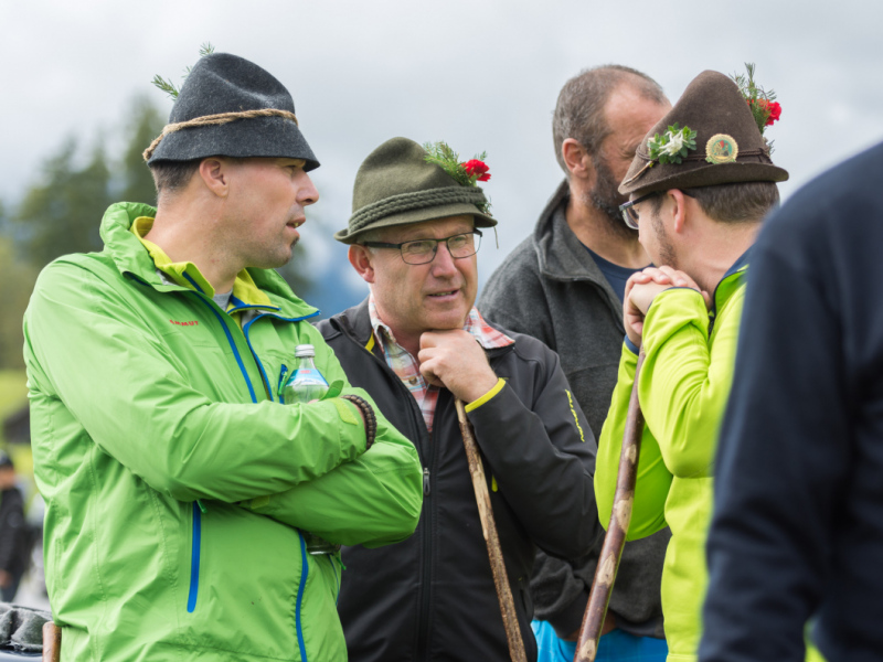 Almabtrieb 2017 Feldernalm/Obermieming
