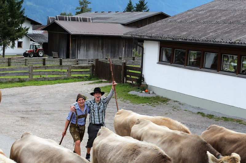 Almabtrieb Feldereralpe 2013 – „So wie seit 100 Jahren“