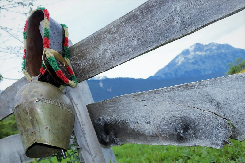 Almabtrieb Feldereralpe 2013 – „So wie seit 100 Jahren“