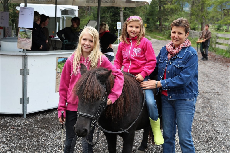 Almabtrieb Feldereralpe 2013 – „So wie seit 100 Jahren“