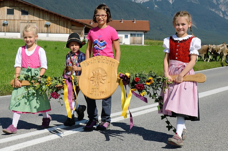 Almabtrieb Hochfeldern Alm 2015