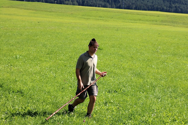 Almabtrieb Hochfeldern Alm 2015