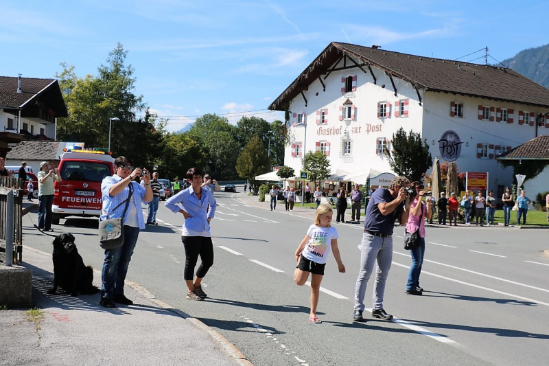 Almabtrieb Hochfeldern Alm 2015