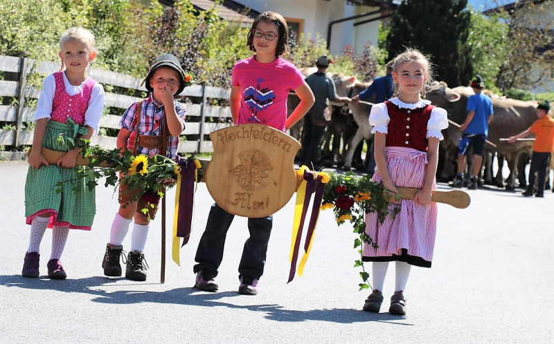 Almabtrieb Hochfeldern Alm 2015
