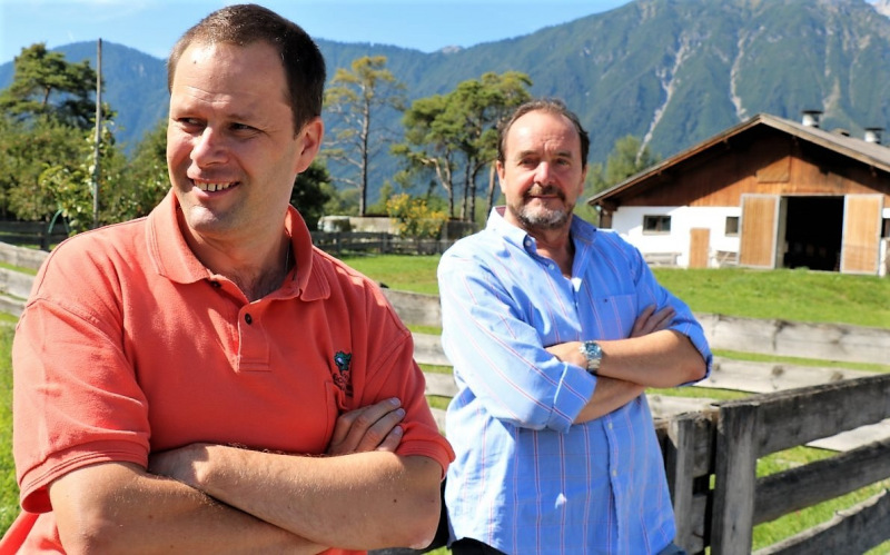 Almabtrieb Hochfeldern Alm 2015