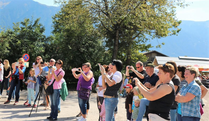 Almabtrieb Hochfeldern Alm 2015
