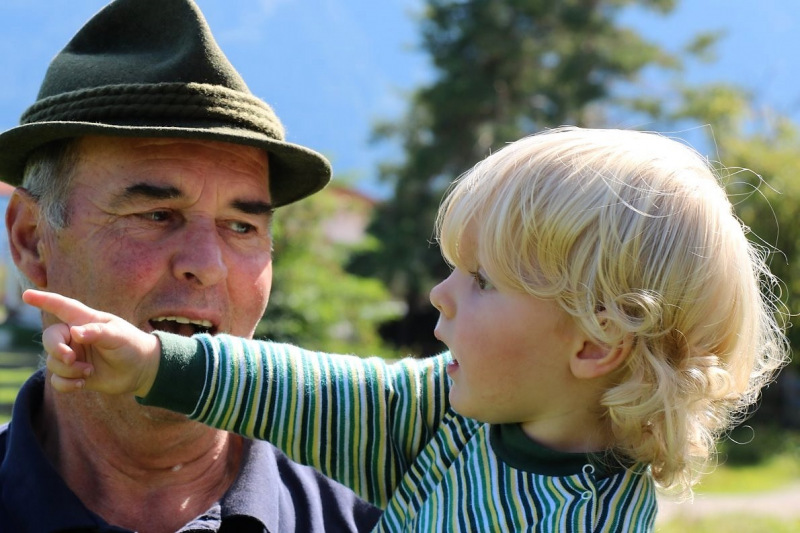 Almabtrieb Hochfeldern Alm 2015