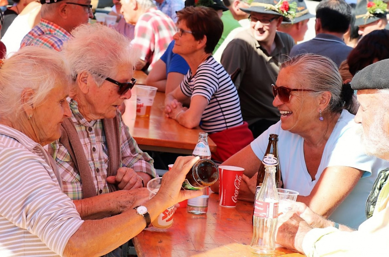 Almabtrieb Hochfeldern Alm 2015