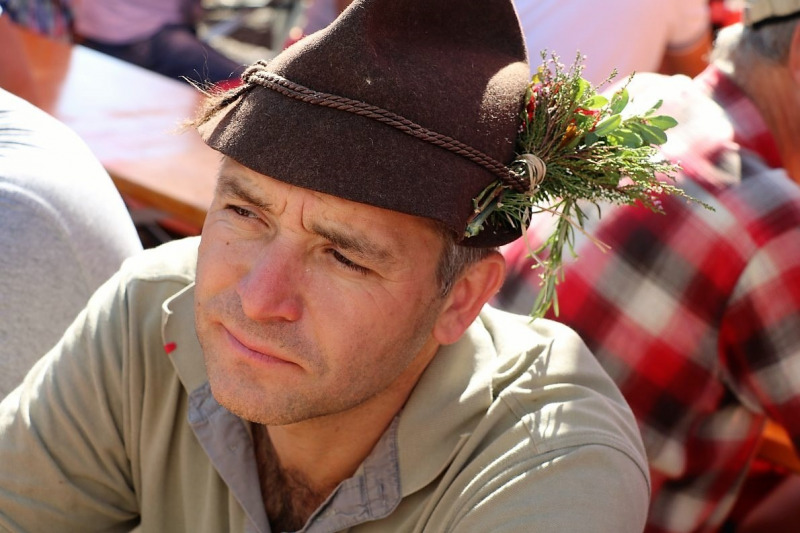 Almabtrieb Hochfeldern Alm 2015
