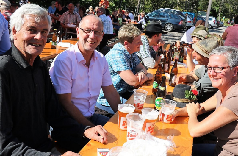 Almabtrieb Hochfeldern Alm 2015