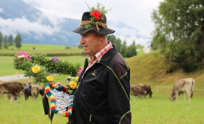 Almabtrieb Hochfeldernalm 2016 – Almvieh wurde wieder geschmückt