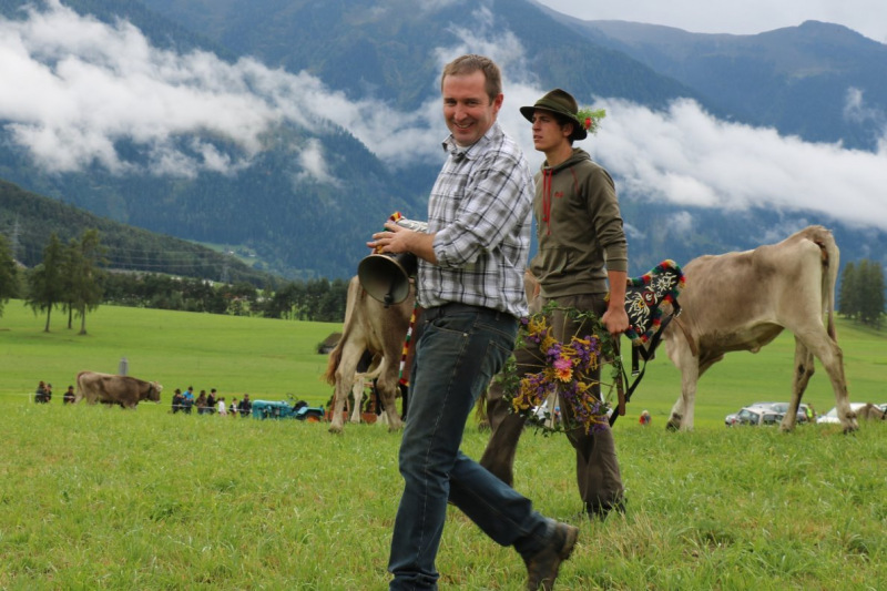 Almabtrieb Hochfeldernalm 2016 – Almvieh wurde wieder geschmückt