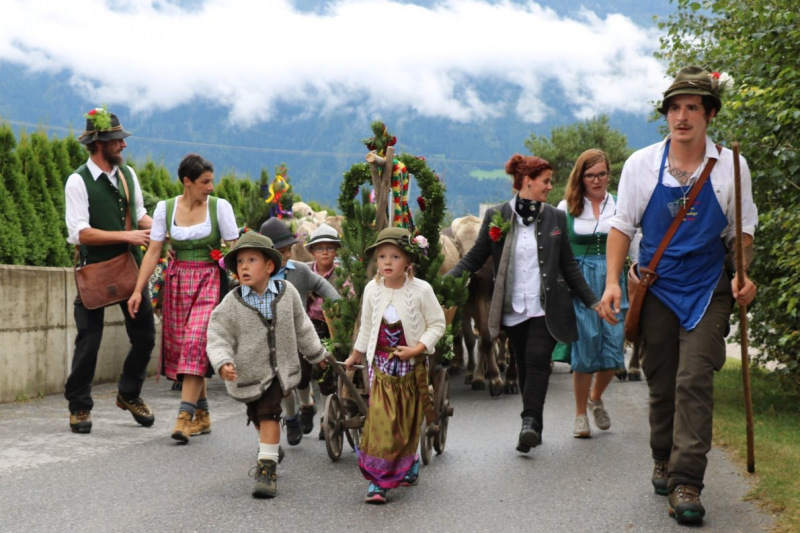 Almabtrieb Hochfeldernalm 2016 – Almvieh wurde wieder geschmückt