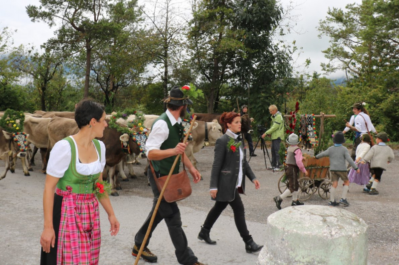 Almabtrieb Hochfeldernalm 2016 – Almvieh wurde wieder geschmückt
