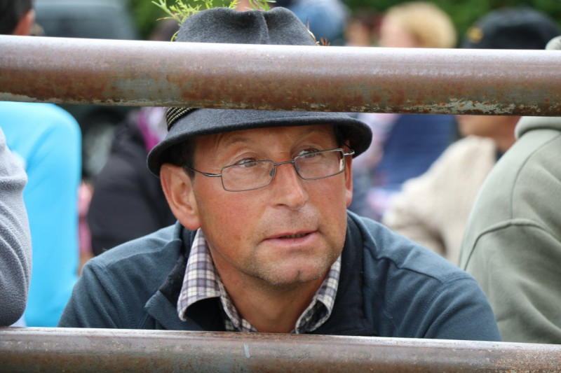 Almabtrieb Hochfeldernalm 2016 – Almvieh wurde wieder geschmückt