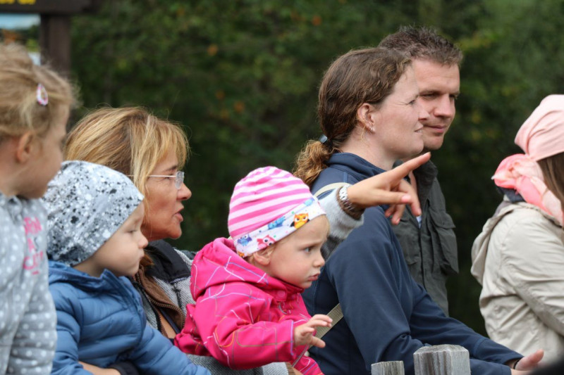 Almabtrieb Hochfeldernalm 2016 – Almvieh wurde wieder geschmückt