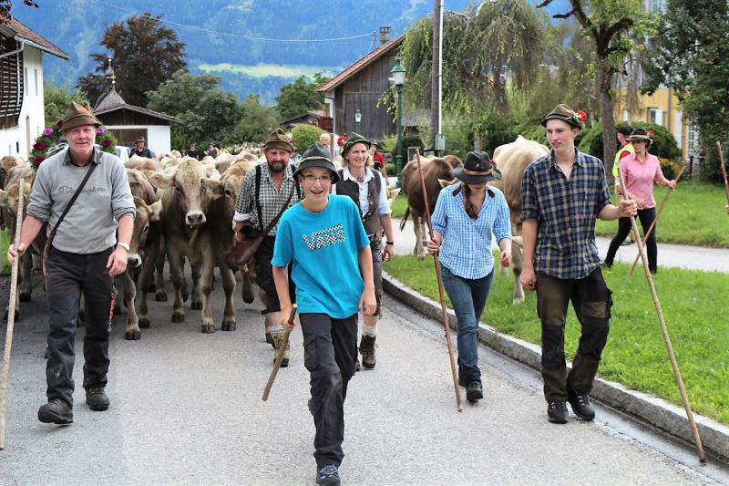 Almabtrieb Hochfeldernalm – Hirtenfamilie nimmt Abschied