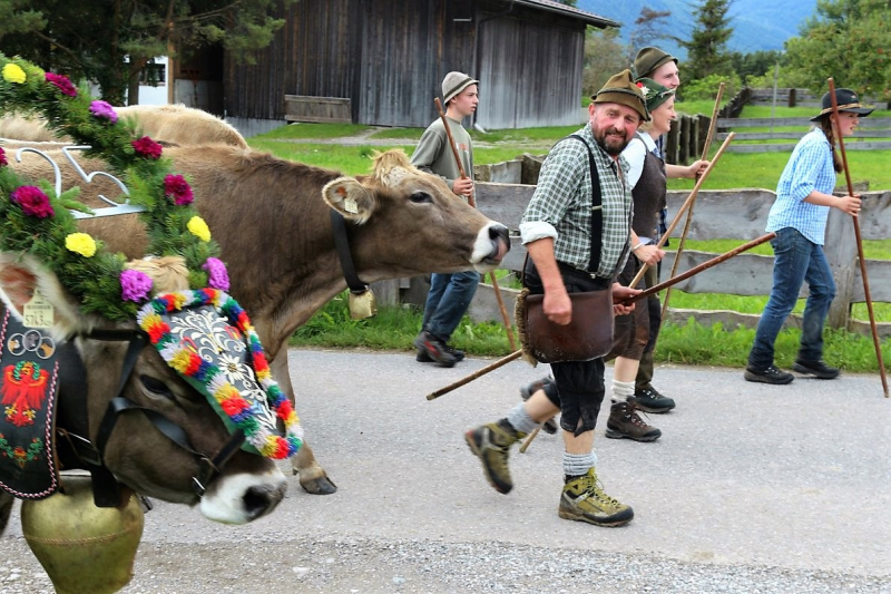 Almabtrieb Hochfeldernalm – Hirtenfamilie nimmt Abschied