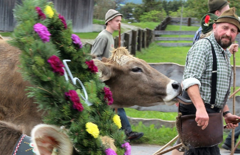 Almabtrieb Hochfeldernalm – Hirtenfamilie nimmt Abschied