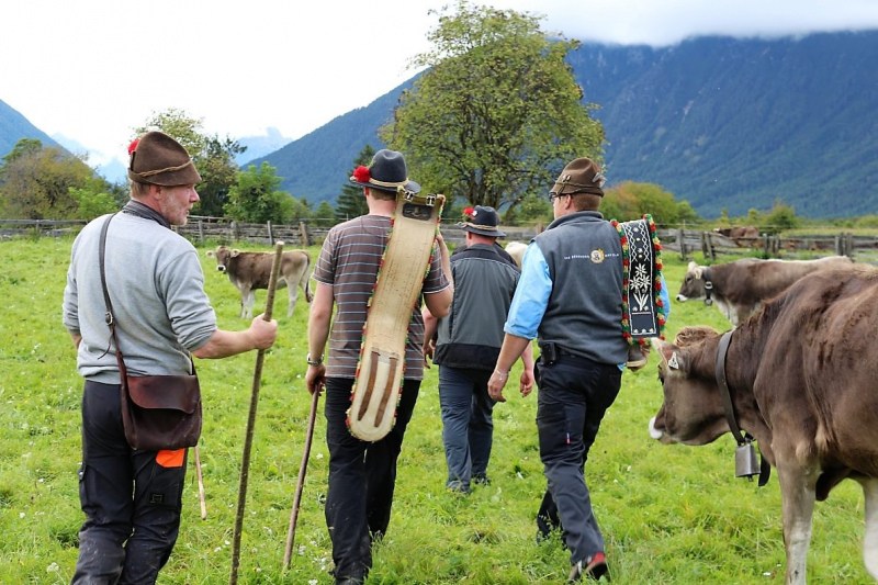 Almabtrieb Hochfeldernalm – Hirtenfamilie nimmt Abschied