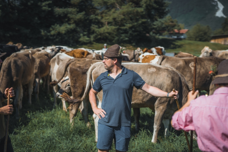 Almabtrieb Feldernalm – „der Almsommer hat uns viel abverlangt“
