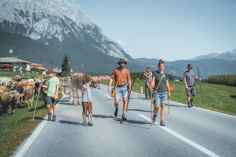 Almabtrieb Feldernalm – „der Almsommer hat uns viel abverlangt“