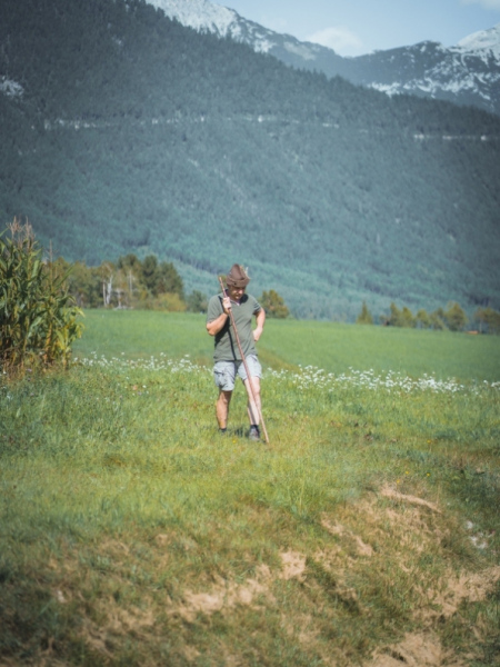 Almabtrieb Feldernalm – „der Almsommer hat uns viel abverlangt“