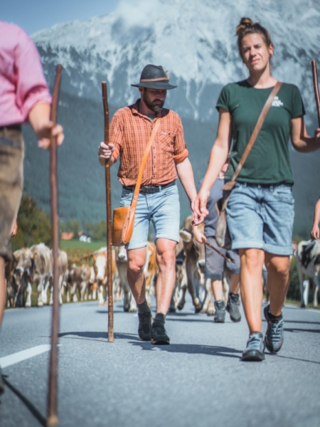 Almabtrieb Feldernalm – „der Almsommer hat uns viel abverlangt“