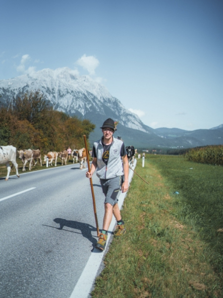 Almabtrieb Feldernalm – „der Almsommer hat uns viel abverlangt“