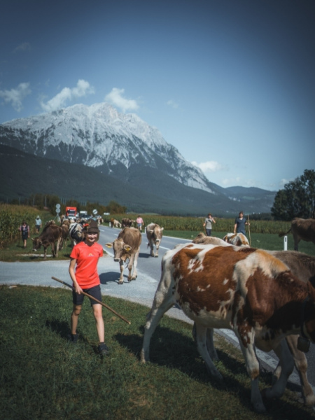 Almabtrieb Feldernalm – „der Almsommer hat uns viel abverlangt“