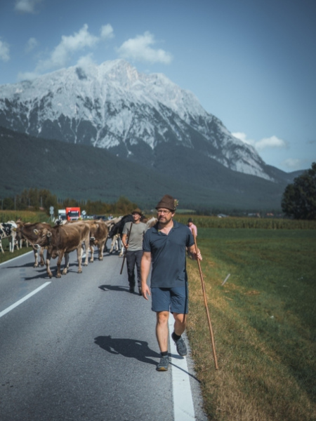 Almabtrieb Feldernalm – „der Almsommer hat uns viel abverlangt“