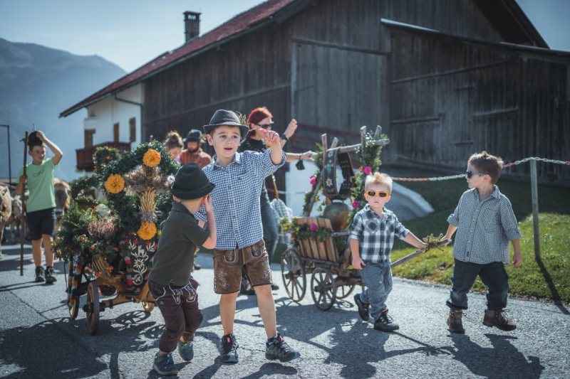 Almabtrieb Feldernalm – „der Almsommer hat uns viel abverlangt“