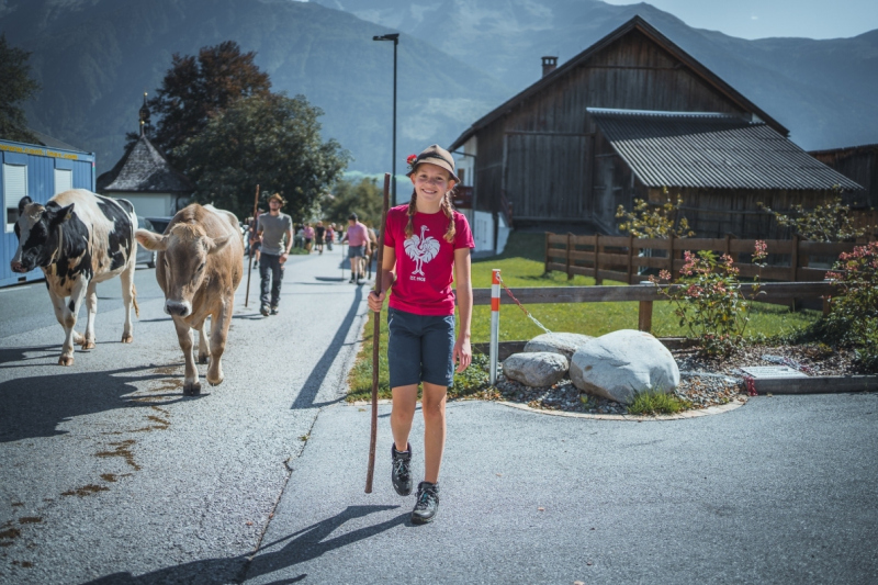 Almabtrieb Feldernalm – „der Almsommer hat uns viel abverlangt“