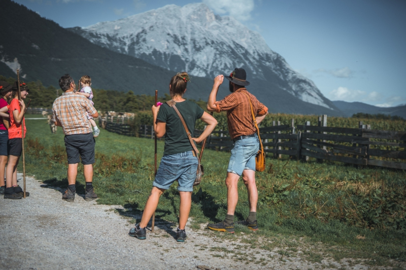 Almabtrieb Feldernalm – „der Almsommer hat uns viel abverlangt“