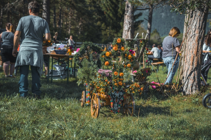 Almabtrieb Feldernalm – „der Almsommer hat uns viel abverlangt“