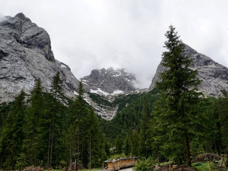Almauftrieb von Mieming zur Feldereralpe – „Gummistiefelwetter“