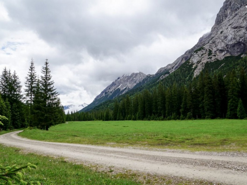 Almauftrieb von Mieming zur Feldereralpe – „Gummistiefelwetter“