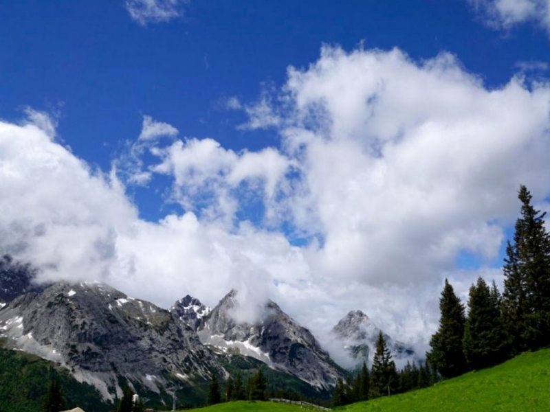 Almauftrieb von Mieming zur Feldereralpe – „Gummistiefelwetter“