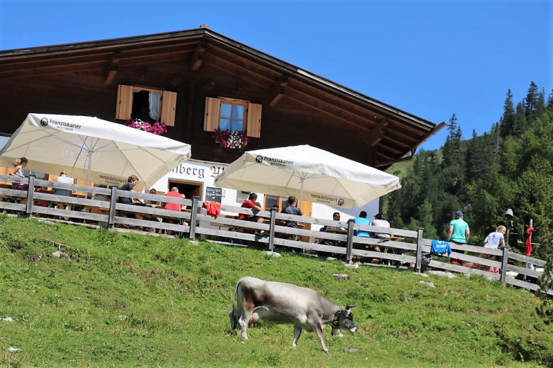 Almmesse auf der Marienbergalm – „Ein unvergleichbares Altarbild“
