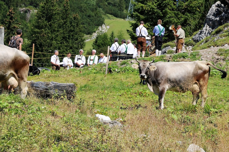 Almmesse auf der Marienbergalm – „Ein unvergleichbares Altarbild“