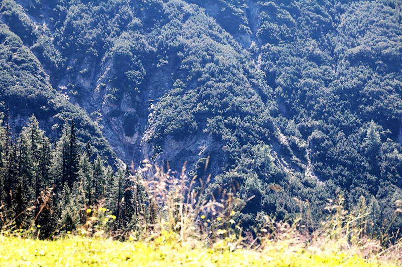 Almmesse auf der Marienbergalm – „Ein unvergleichbares Altarbild“