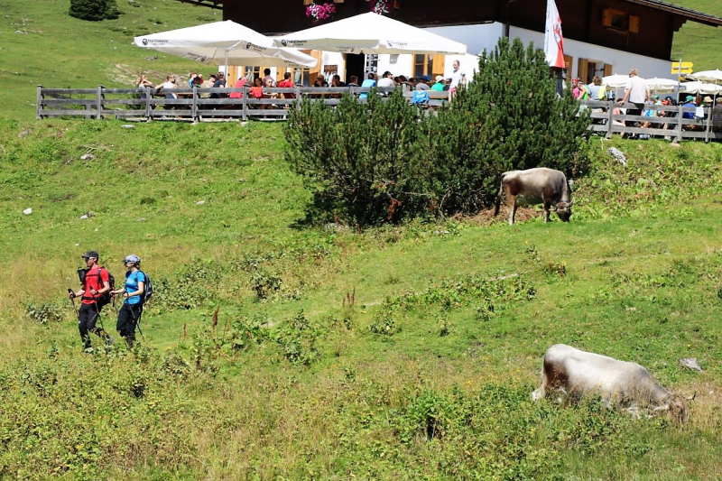 Almmesse auf der Marienbergalm – „Ein unvergleichbares Altarbild“